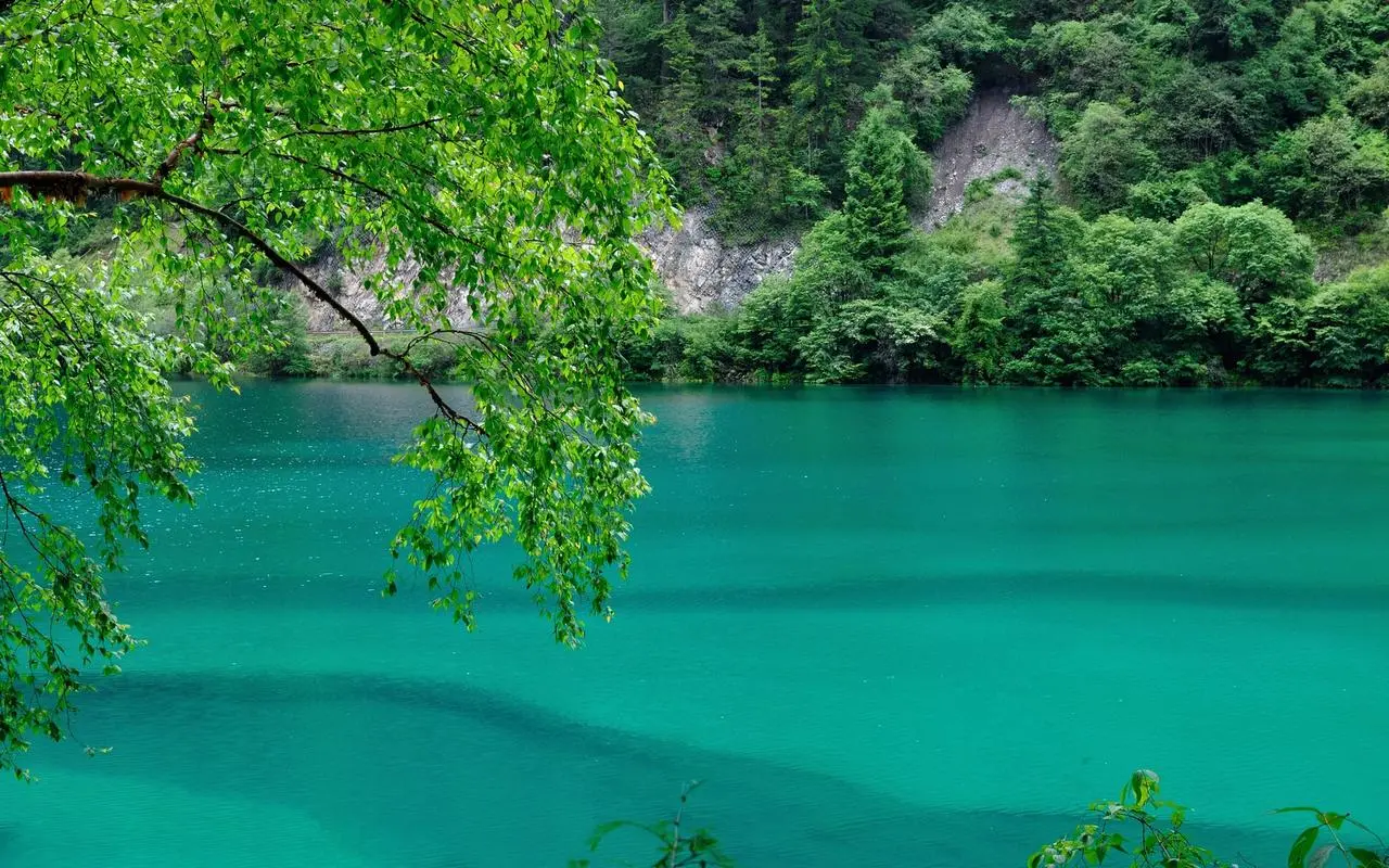 智能化创意环保